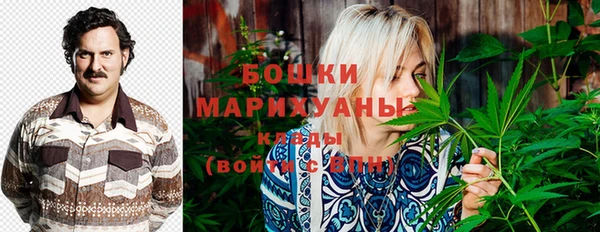 гашик Балахна