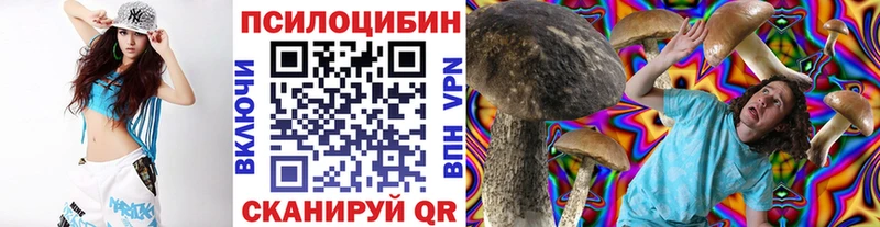 кракен ТОР  Петров Вал  Псилоцибиновые грибы Magic Shrooms 